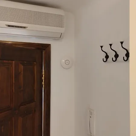 Pevac, Rooster, Appartement Belgrade